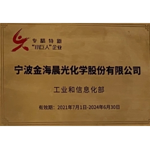 專(zhuān)精特新小巨人企業(yè) 